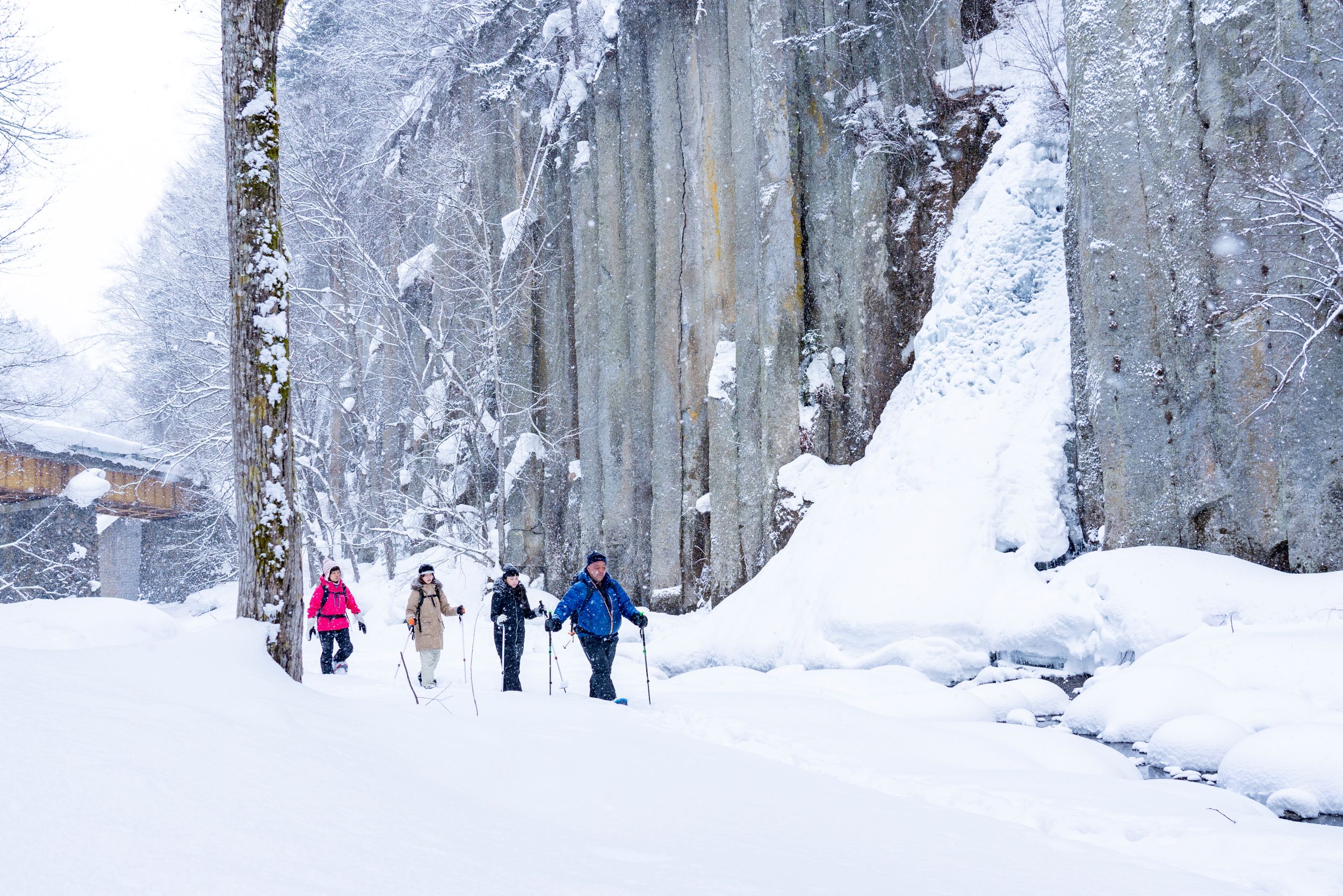 【Sounkyo-Kamikawa】Snowshoe hiking Guided tour