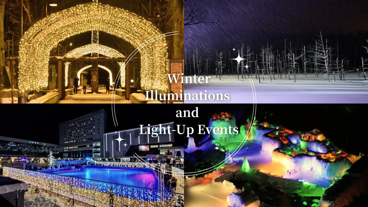 A Winter Wonderland of Lights! - 【Official】Heart of Hokkaido