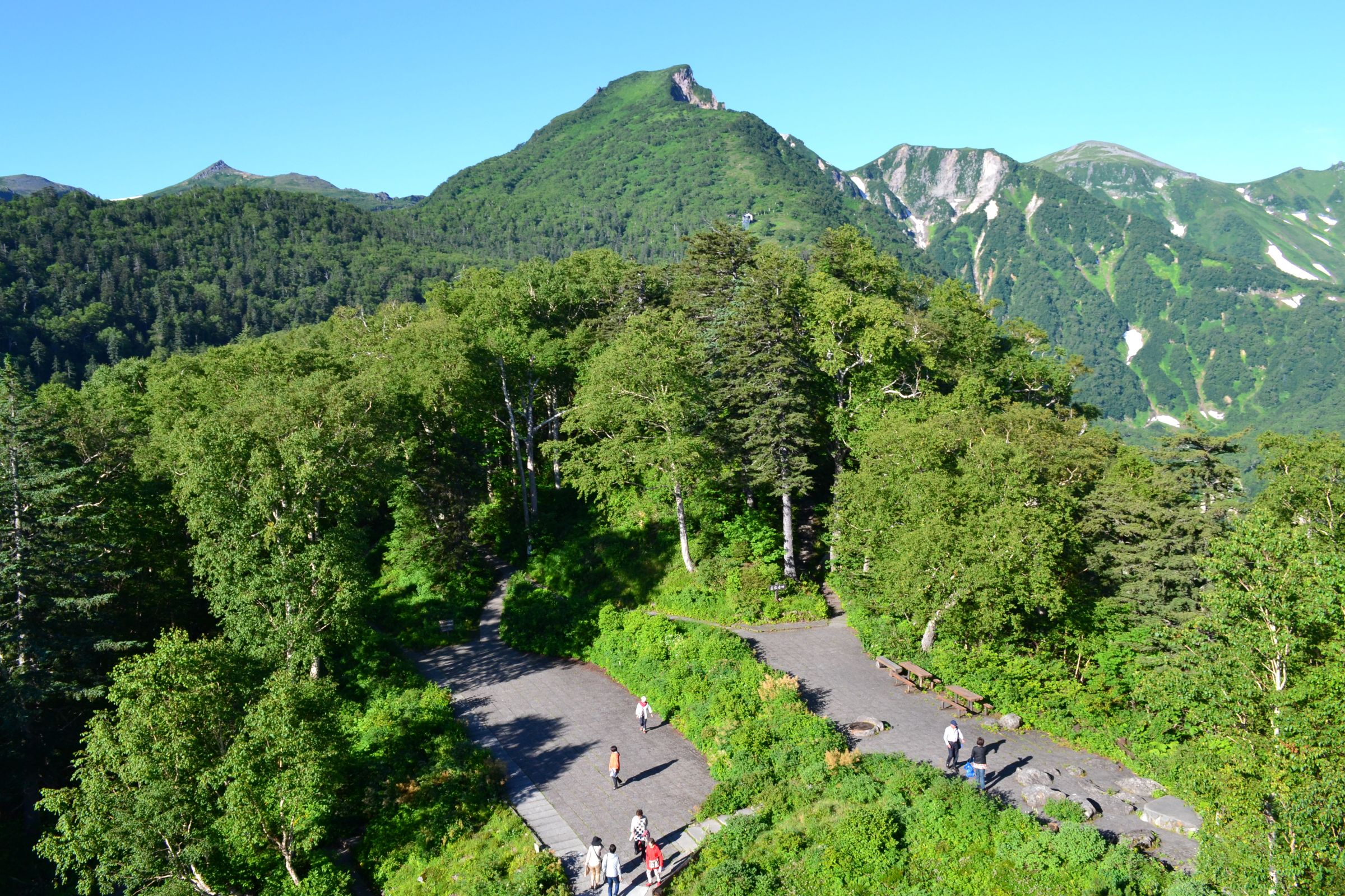 【大雪山‐黒岳】黒岳山頂登山ツアー