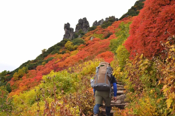 【大雪山‐黒岳】黒岳山頂登山ツアー