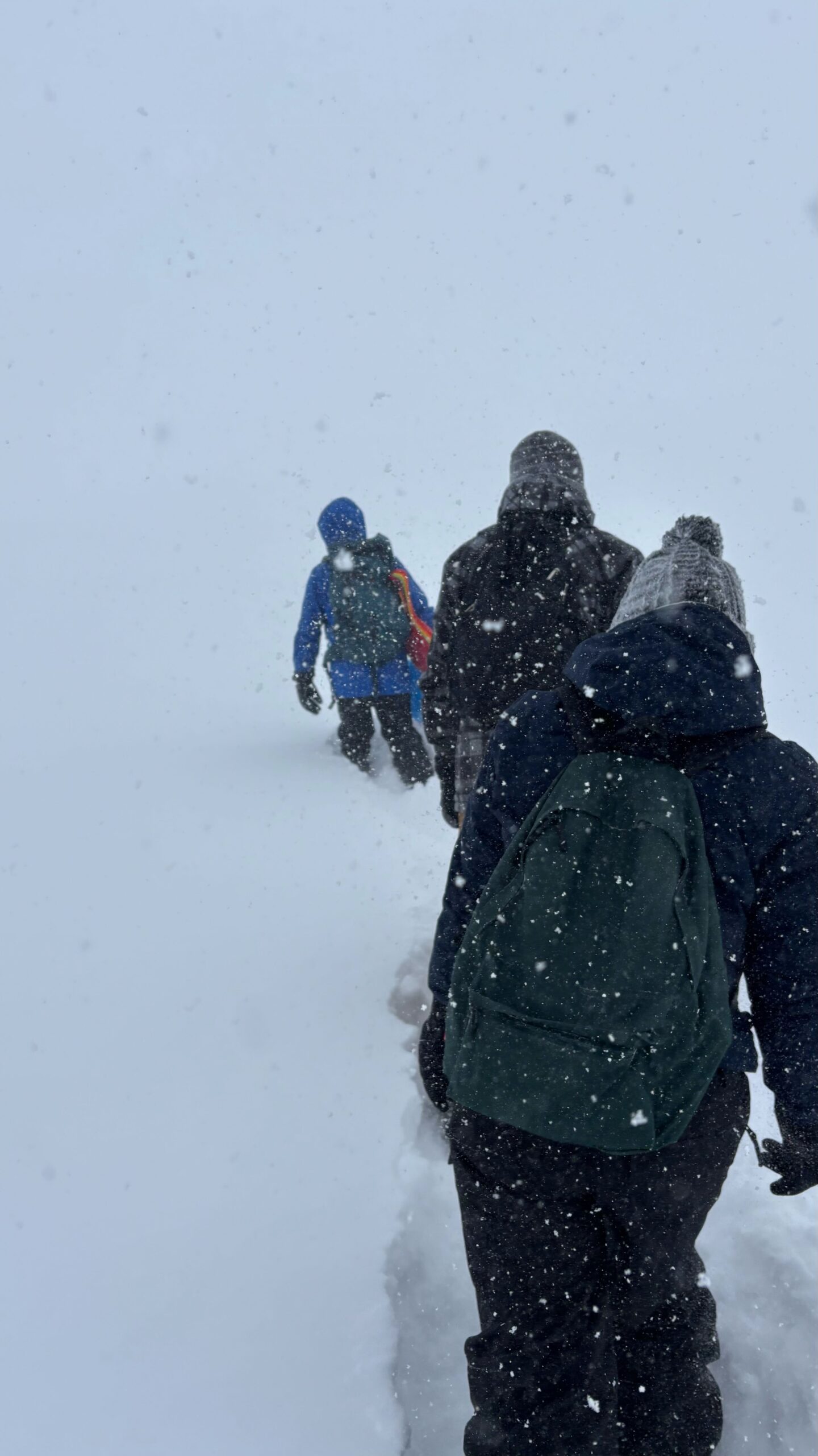 【Sounkyo Snowshoe】欢迎初学者！ 冬季雪鞋行游，享受春京风情