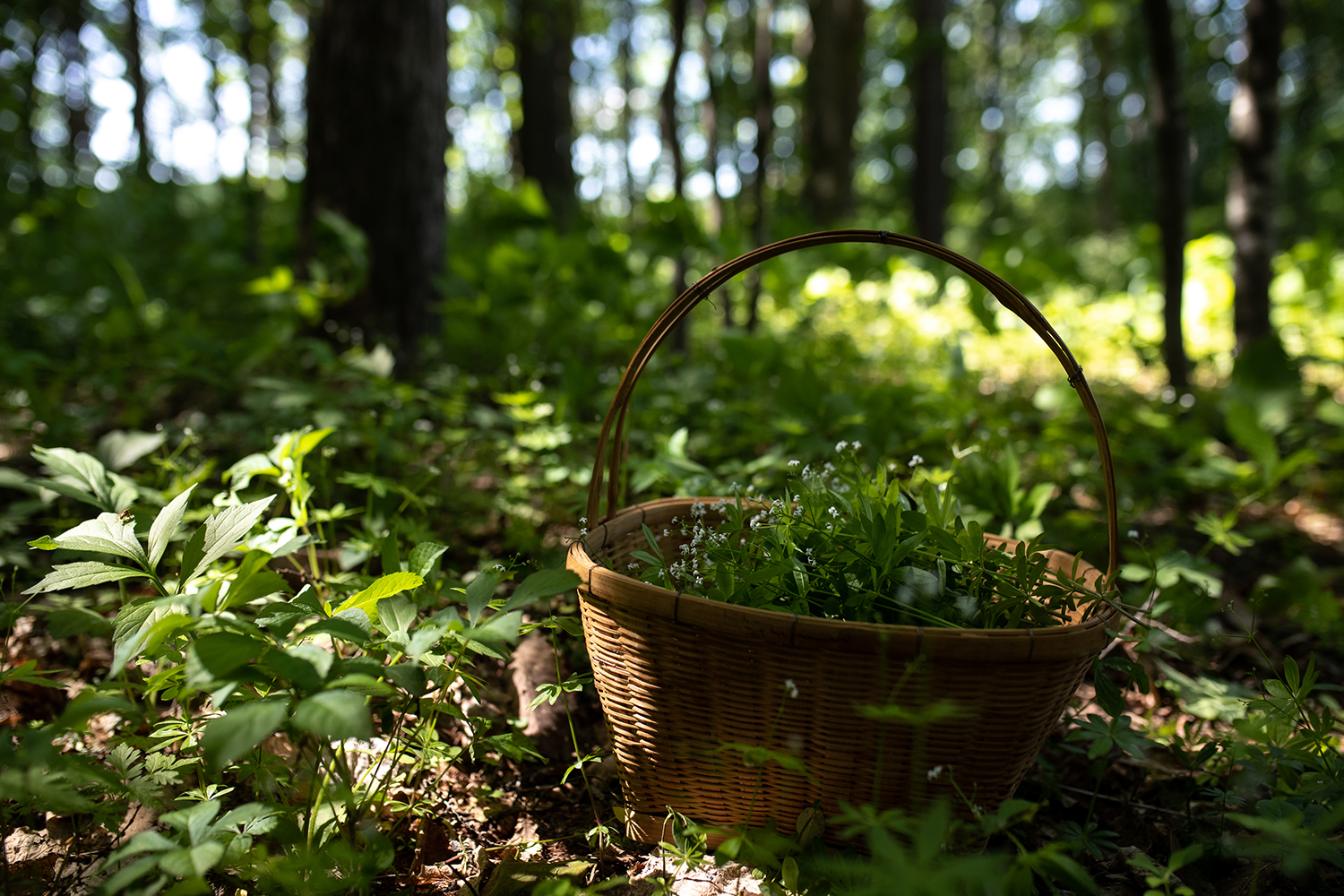 Protected: Japanese-style inn Ogimatsuen