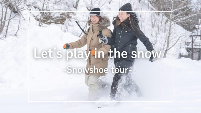 Recommend snowshoe tour in Asahikawa Taisetsu area!