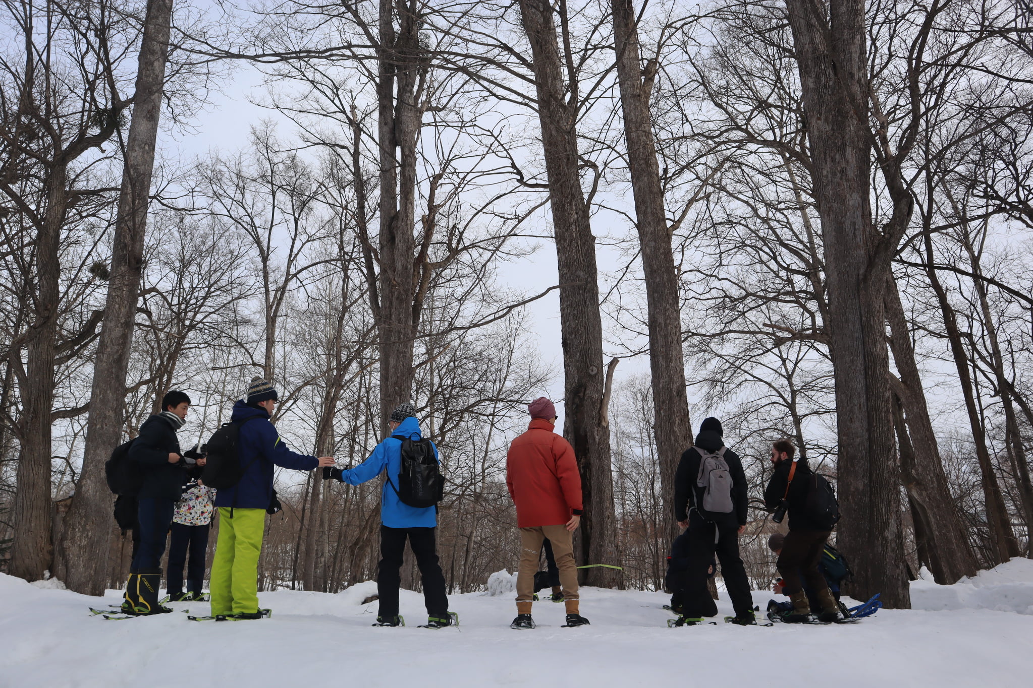 【旭川駅周辺・スノーシュー】朝活にもおすすめ！スノーシューお散歩ツアー