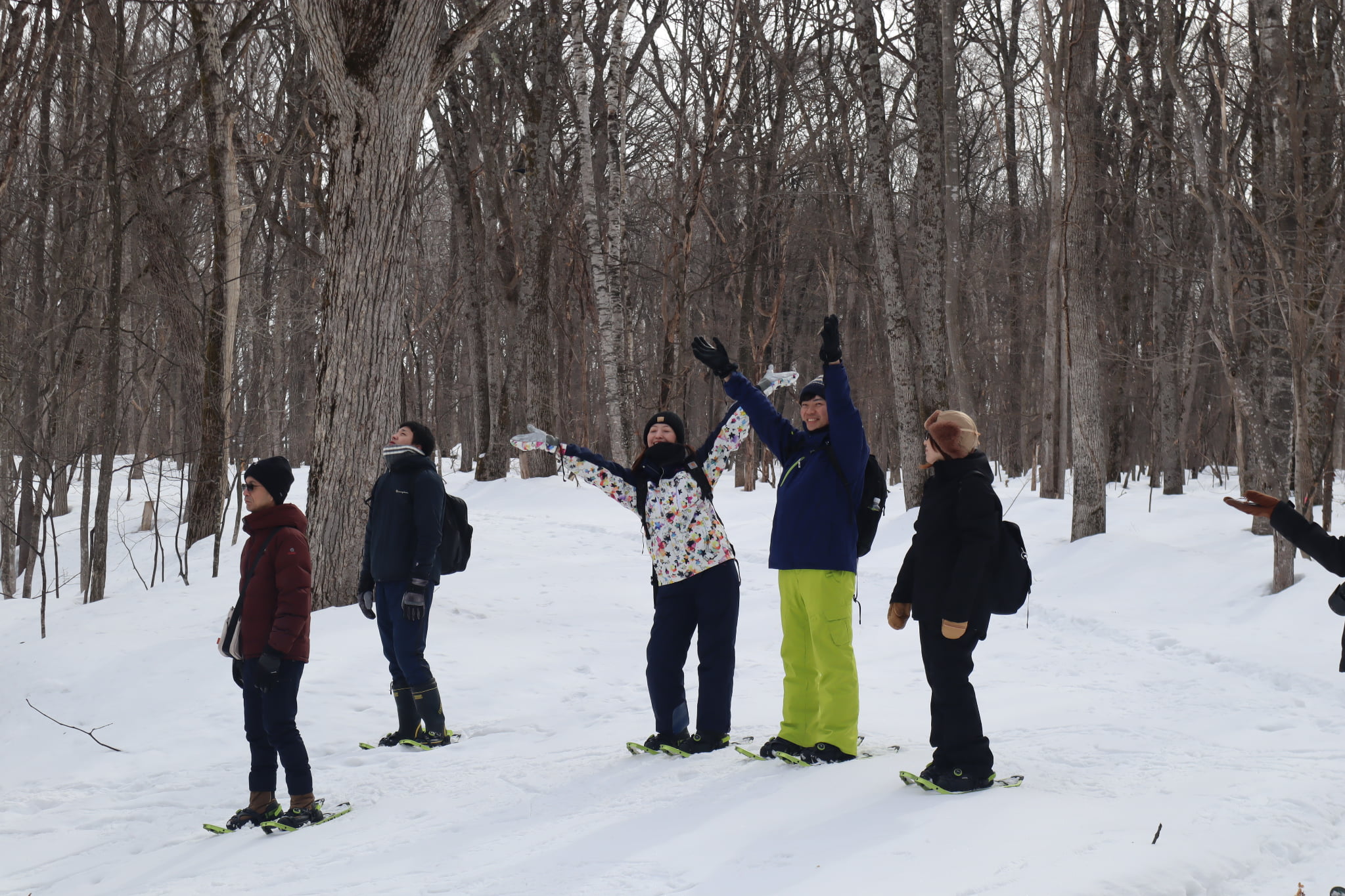 【旭川駅周辺・スノーシュー】朝活にもおすすめ！スノーシューお散歩ツアー