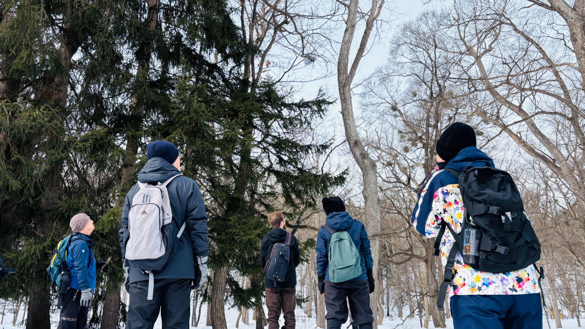 【旭川駅周辺・スノーシュー】朝活にもおすすめ！スノーシューお散歩ツアー