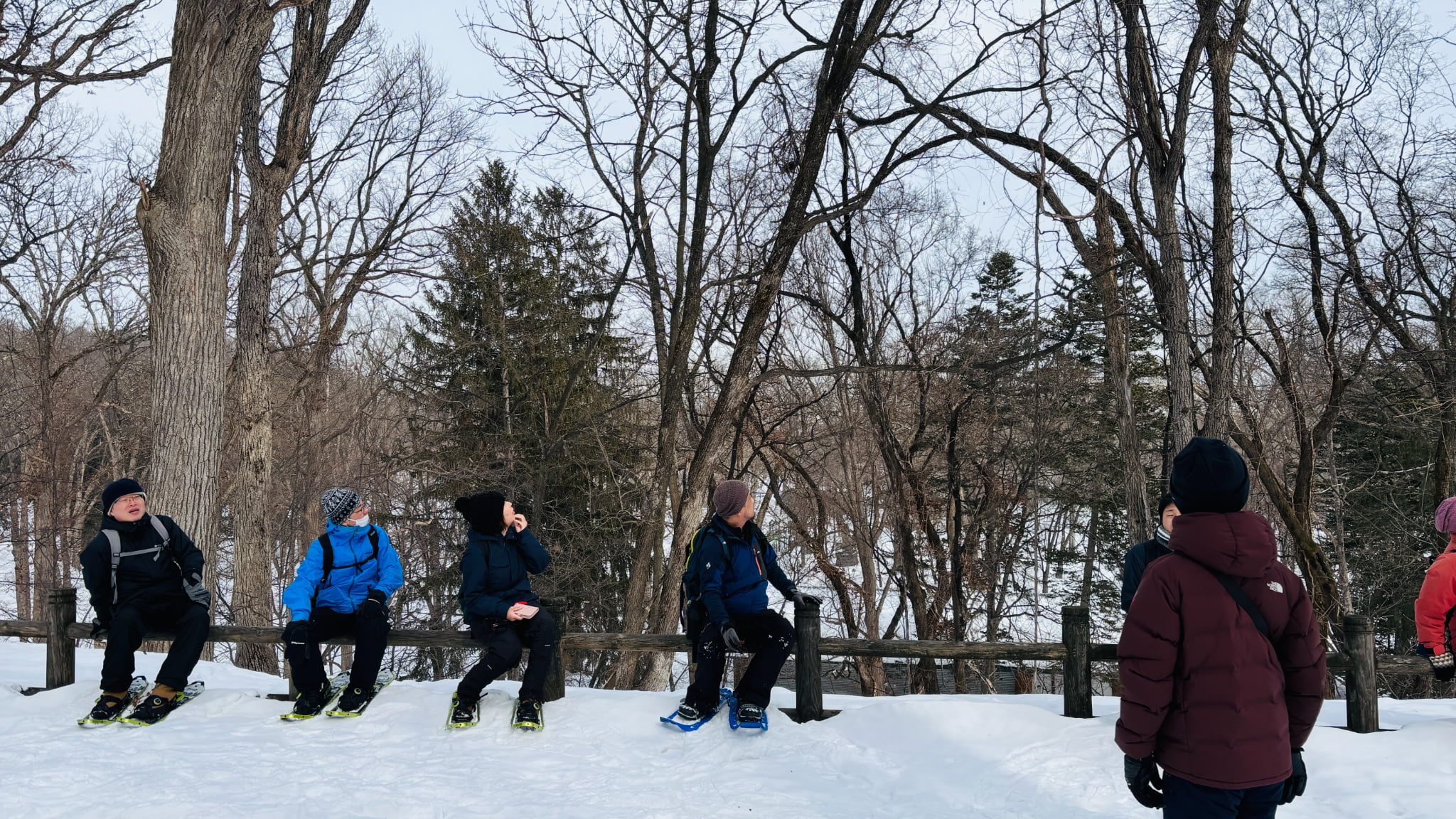 【旭川駅周辺・スノーシュー】朝活にもおすすめ！スノーシューお散歩ツアー