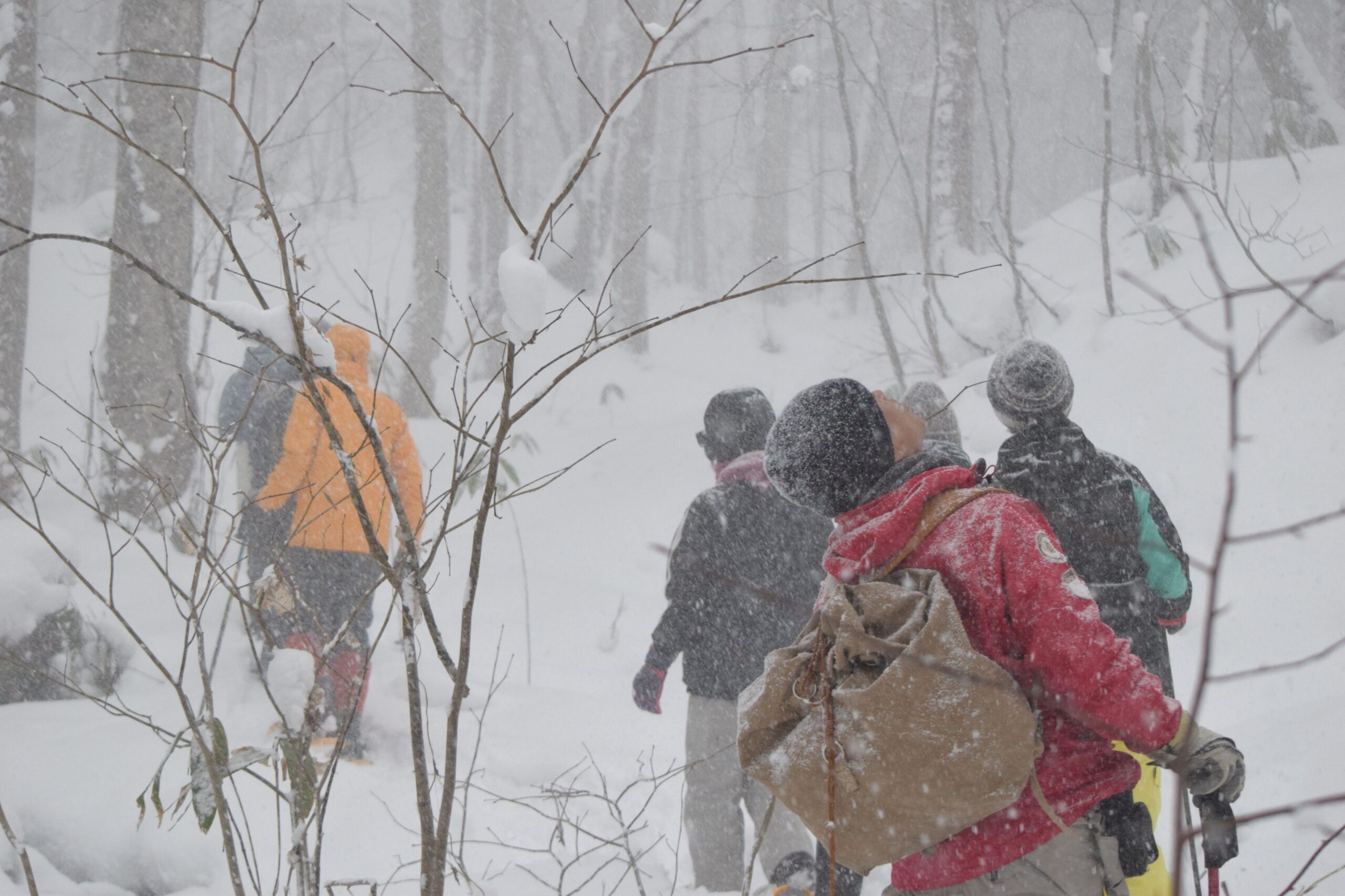 【旭川駅周辺・スノーシュー】朝活におすすめ！スノーシューお散歩ツアー