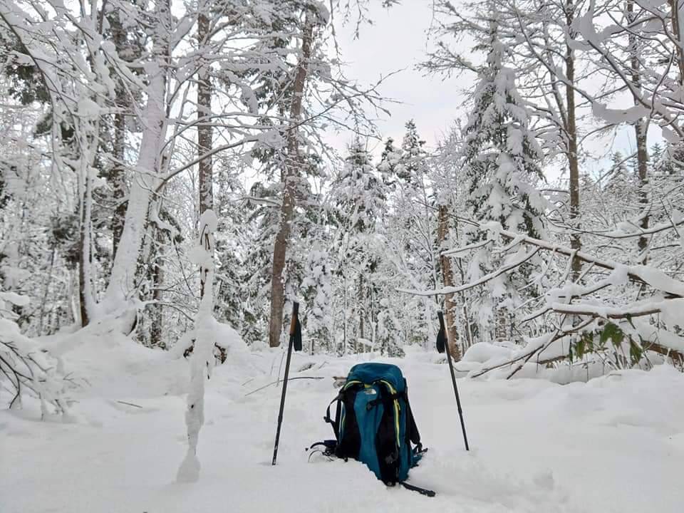 【旭川駅周辺・スノーシュー】朝活におすすめ！スノーシューお散歩ツアー