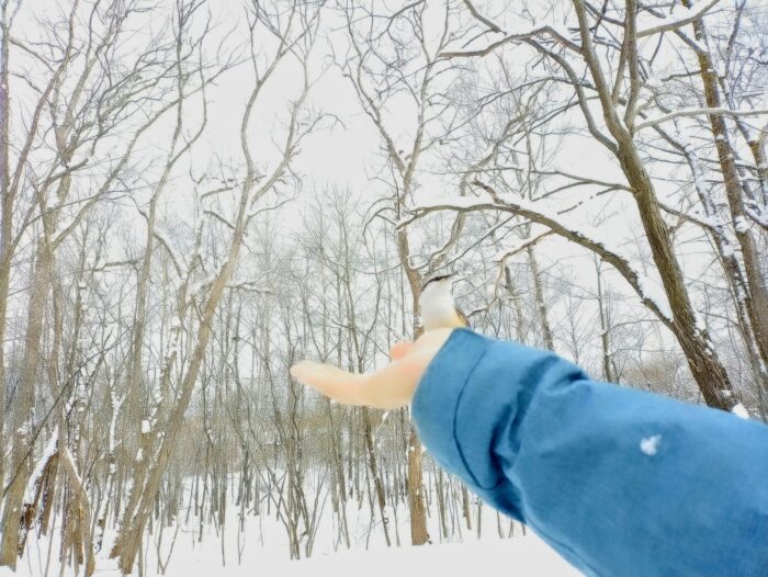 【旭川駅周辺・スノーシュー】朝活におすすめ！スノーシューお散歩ツアー