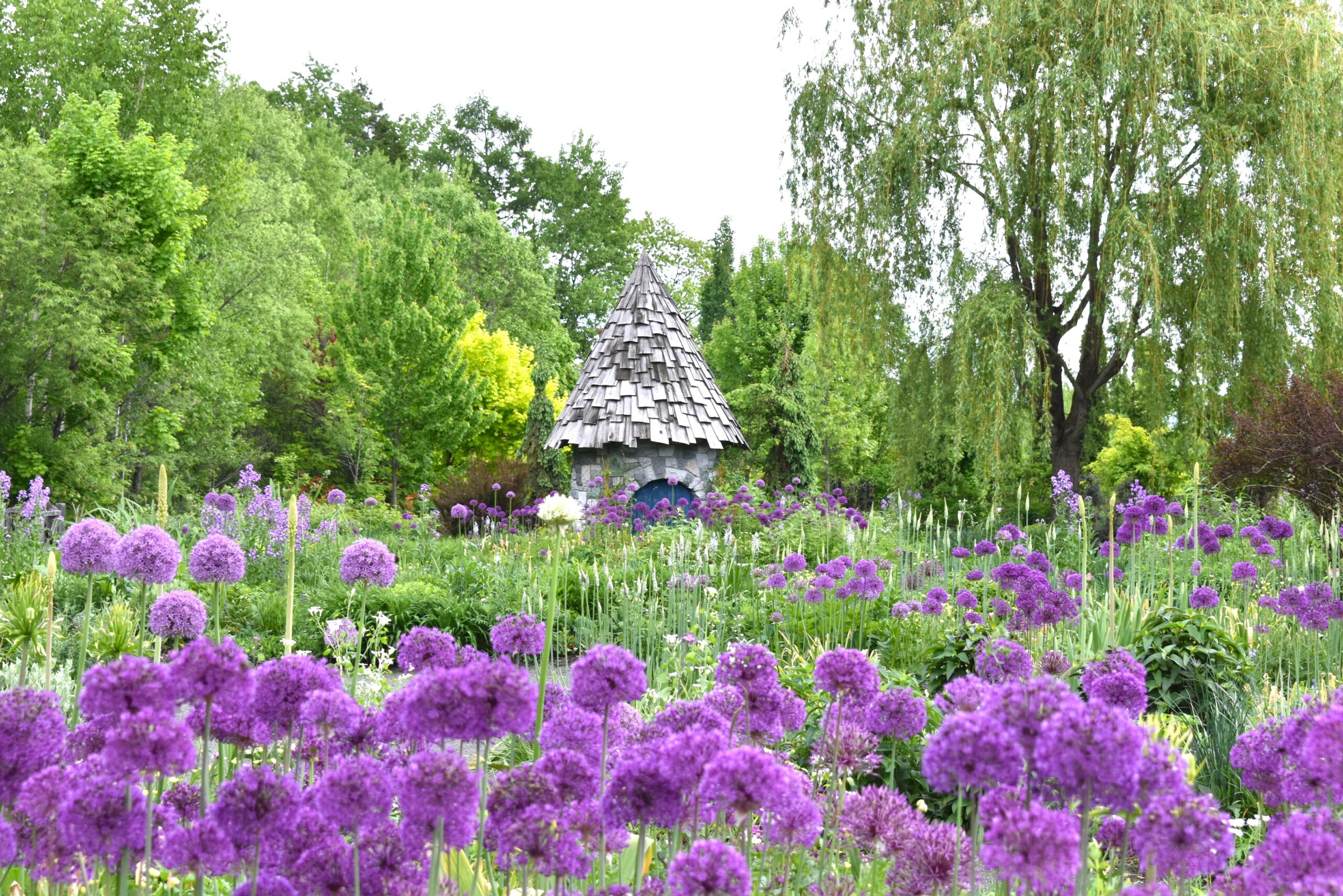 【Asahikawa Cycling】Strawberry Picking & Garden Cycling Tour