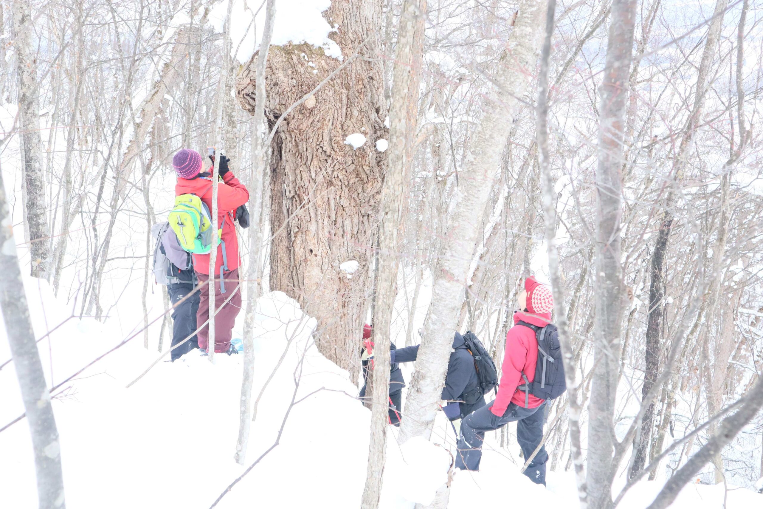 「TAISETSUガイド育成プログラム2025-2026」を全10回にわたり実施しました。