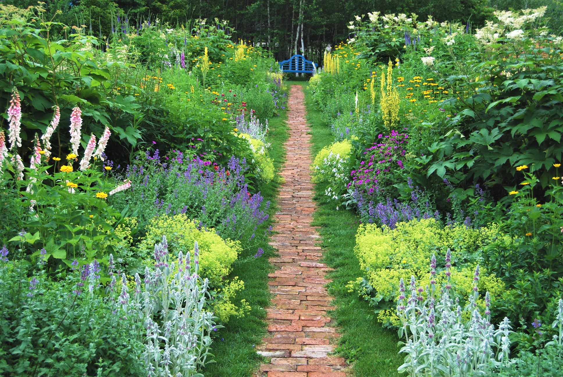 【Asahikawa Cycling】Strawberry Picking & Garden Cycling Tour