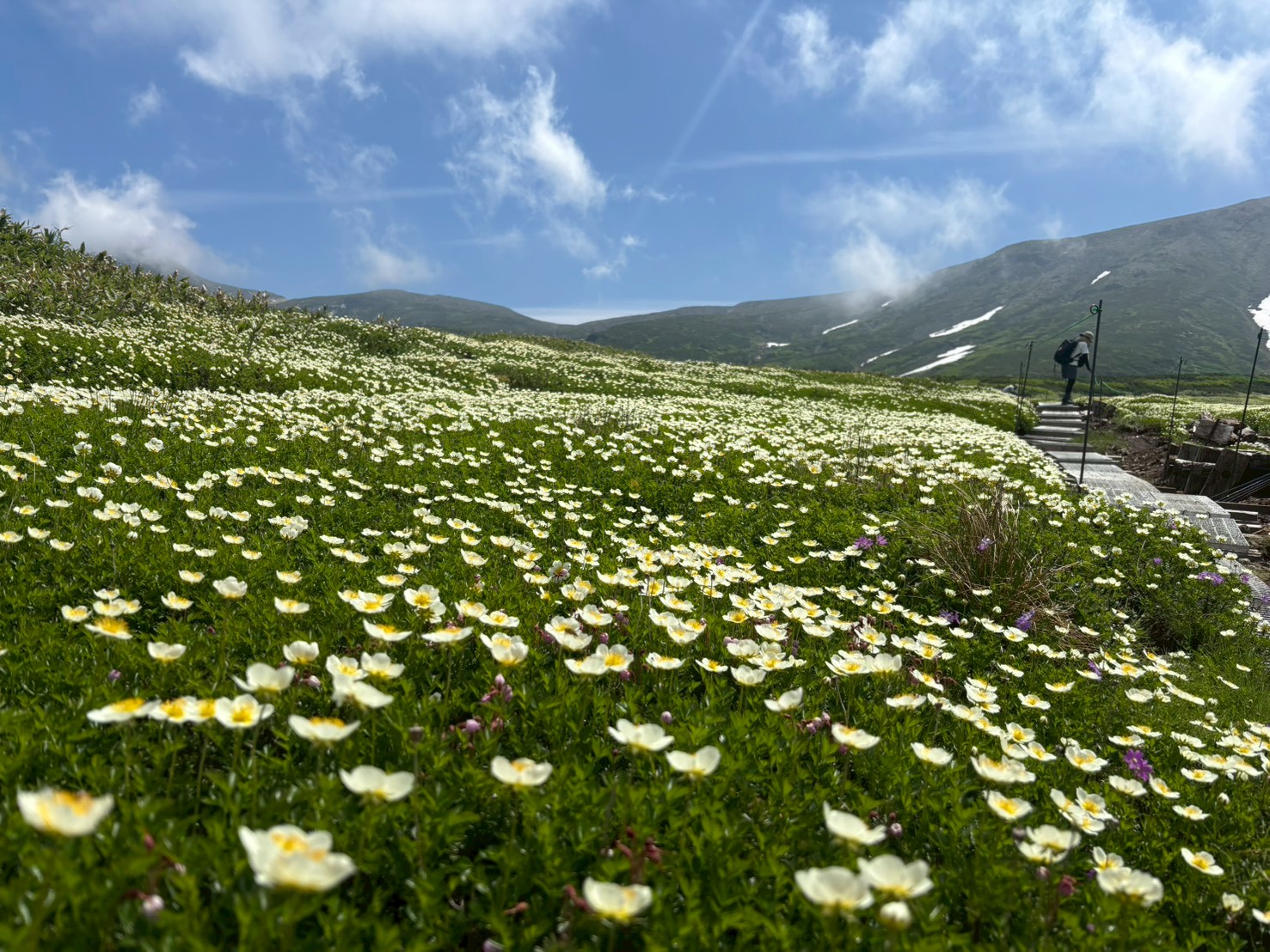 【Daisetsuzan – Asahidake】Mt.Asahidake Susoaidaira Plateau Hiking Guided tour