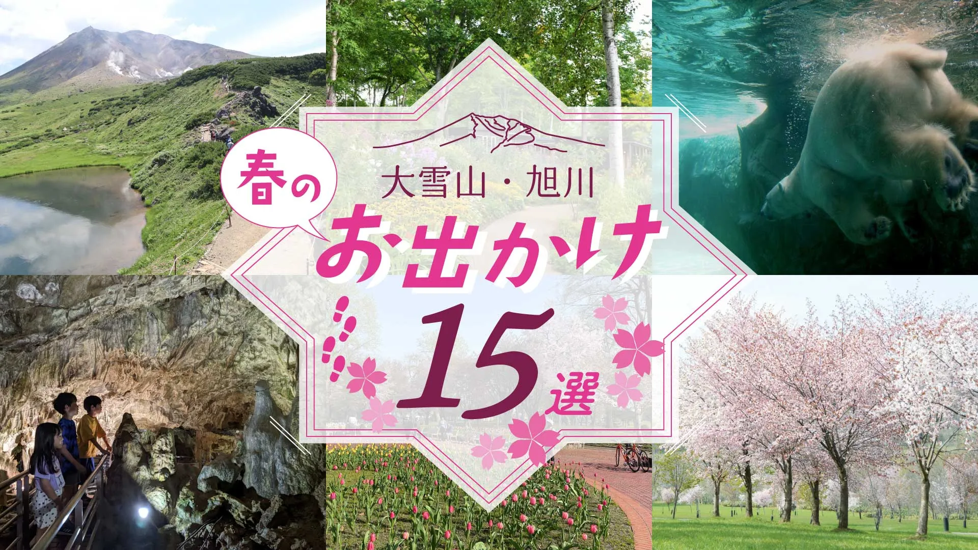 5月の大雪カムイミンタラ圏域 特集