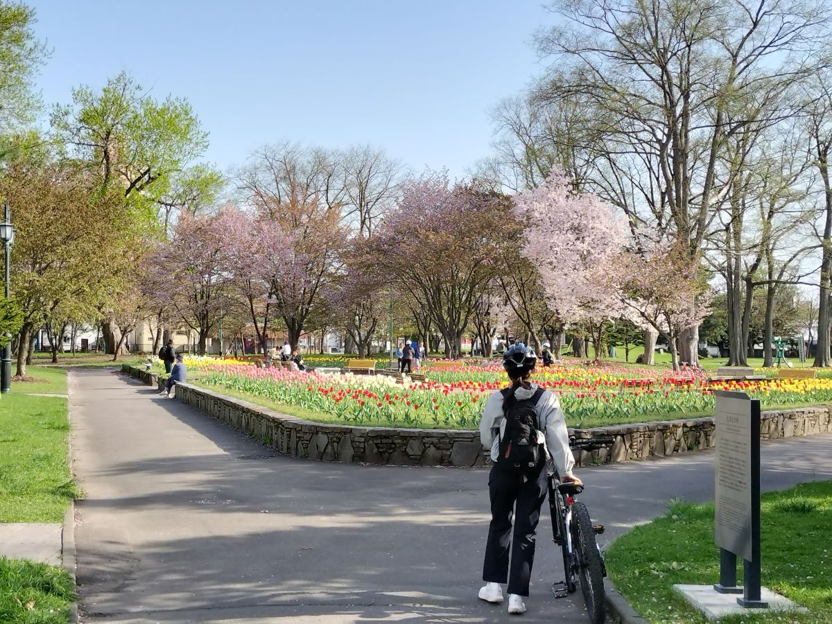 サイクリングツアー