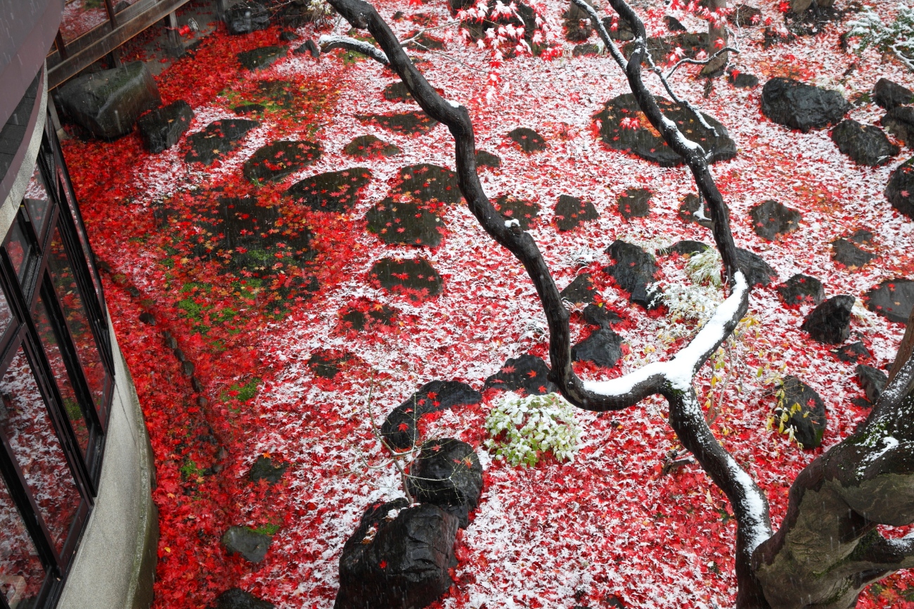 登録有形文化財 旧岡田邸（おかだ紅雪庭）